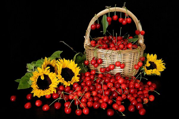 Foto cesta con cerezas y girasoles