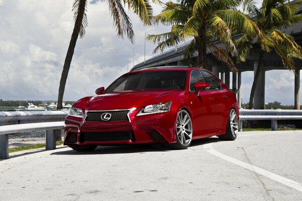 Red Lexus gs f tuning on the road under the bridge near palm trees