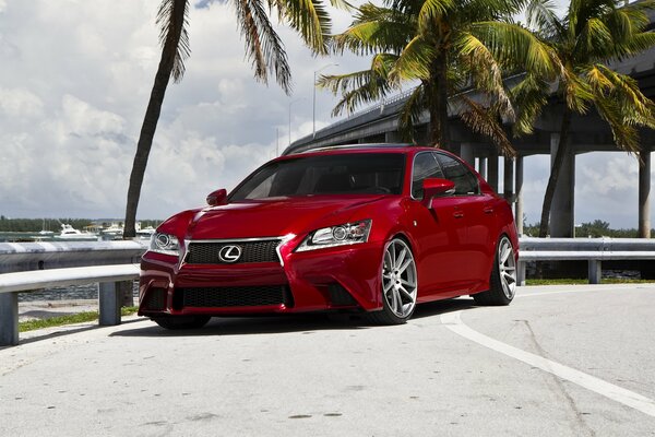 Lexus GS f rojo Tuning en la carretera debajo del puente cerca de las palmeras