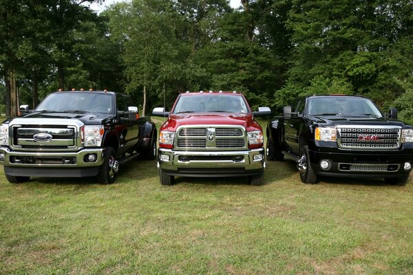 Tre auto Ford parcheggiate su erba verde su uno sfondo di alberi