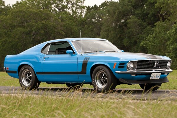 Ford Mustang auf dem Hintergrund des grünen Waldes