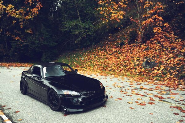 A black car in autumn foliage