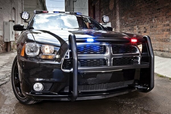 Police Dodge avec un puissant kangourou