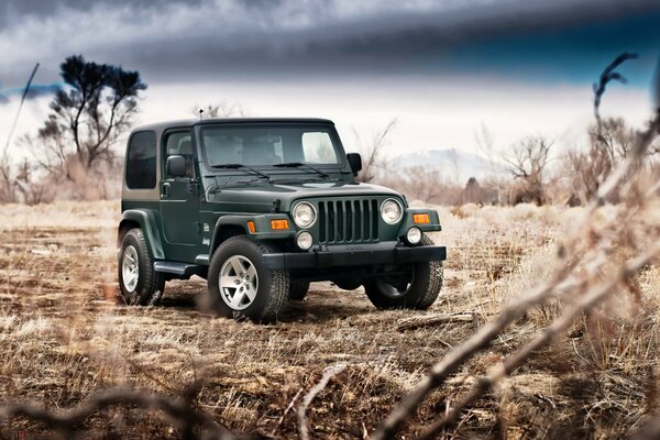 Grüner Jeep auf einem Feld und einem dunklen Himmel Hintergrund