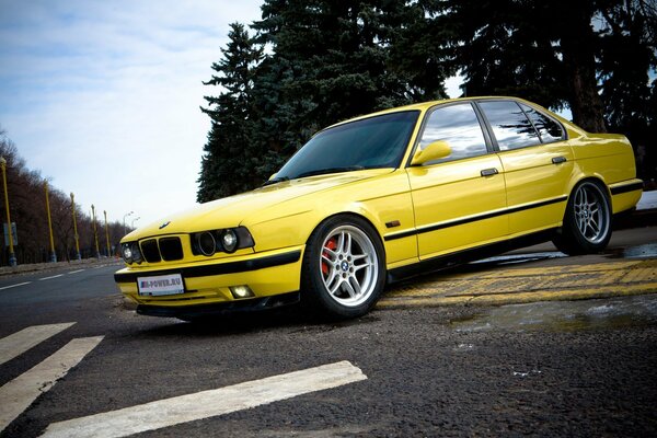 BMW cinq en jaune sur une route de campagne