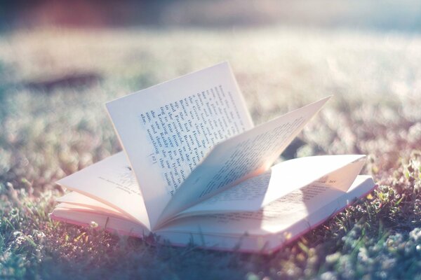 Ein sanftes Licht fällt auf ein offenes Buch