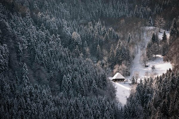 Samotny dom w zimowym lesie