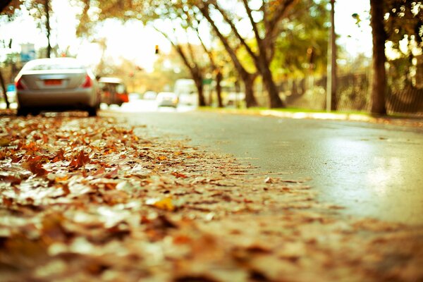 Autumn road where cars are parked