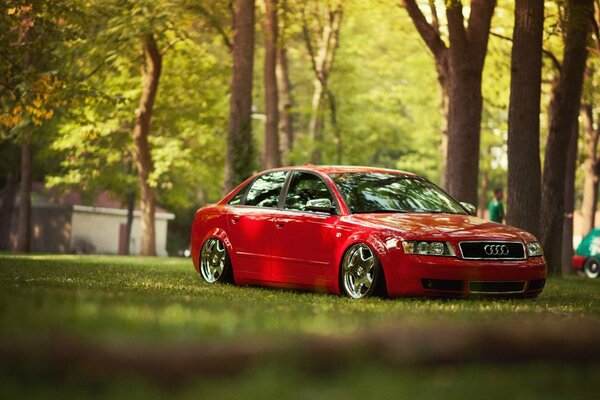 En el césped hay un hermoso coche rojo