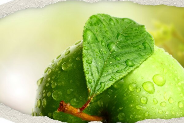 Manzana verde con gotas de agua