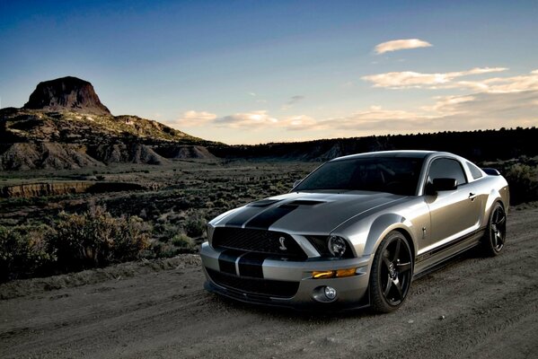 Mustang chic sotto il cielo blu delle strade del deserto