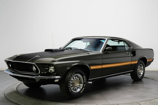 Black mustang on a concrete circle on a white background