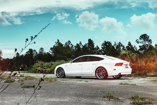 Audi car white on a background of trees