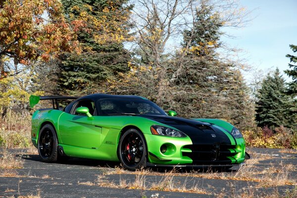 A green racing car stands in the forest