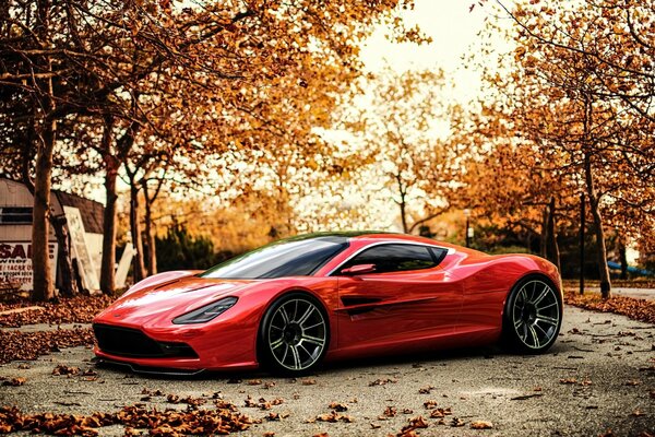 Coche rojo en el fondo del paisaje de otoño