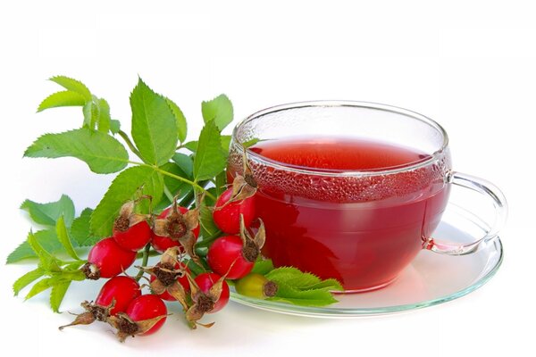 Photo of rosehip tea on a white background