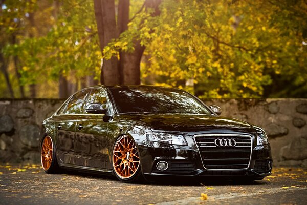 Beautiful black audi car in the autumn forest