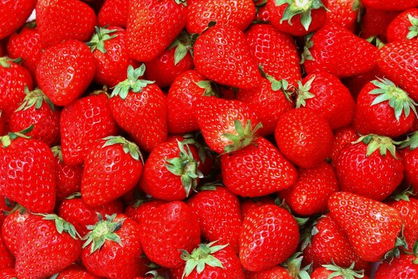 Ripe red strawberry screensaver