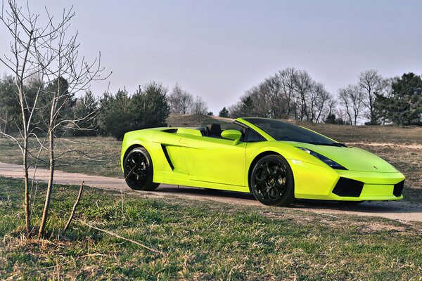 Coche verde claro lambmorghini en la naturaleza