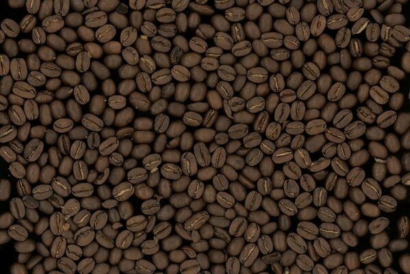 Coffee beans on the background