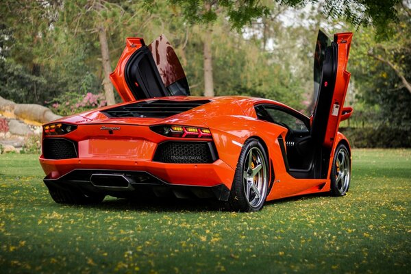 Une Lamborghini orange pour les vrais gourmets