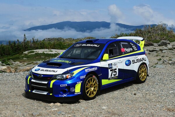 Subaru Rallye-Auto auf dem Hintergrund der Berge