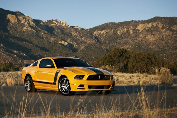 Voiture Ford Mustang sur fond de montagnes