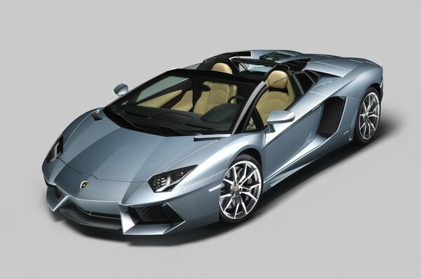 Lamborghini convertible silver color