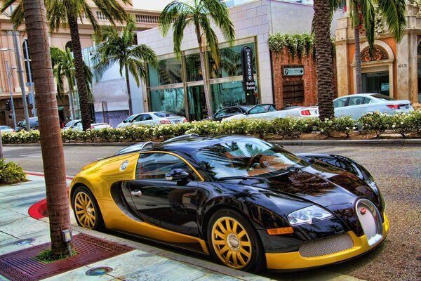 Photo of a black and yellow bugatti supercar on a street with palm trees