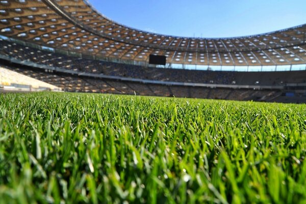 Grünes Gras auf dem Fußballplatz