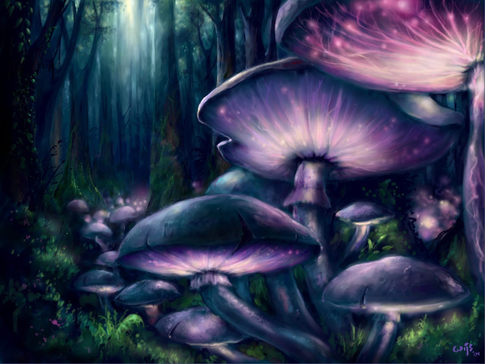 fiction mushrooms forest tree night picture