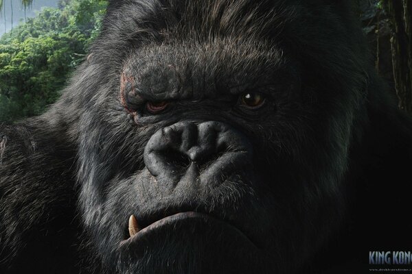 Małpa z filmu King Kong w lesie