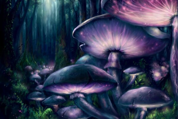 Mushrooms in the night fantasy forest