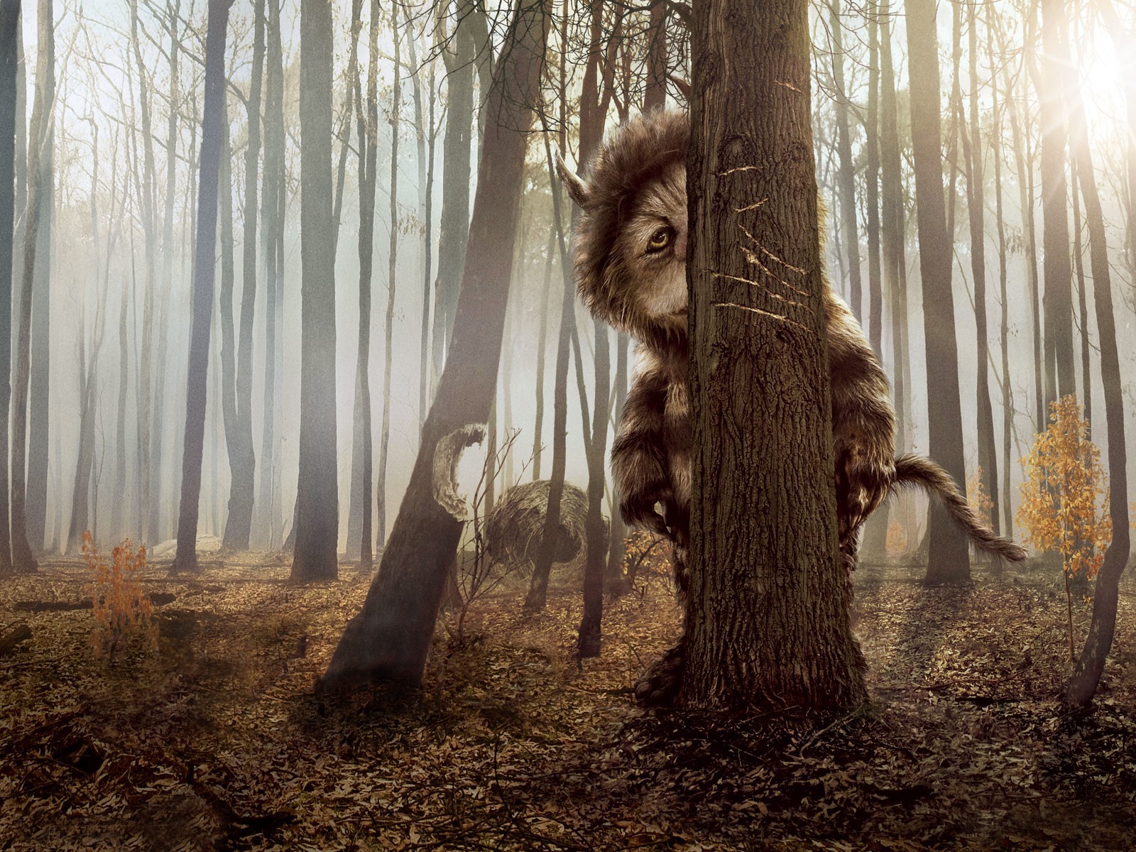 où vivent les monstres monstre forêt arbre