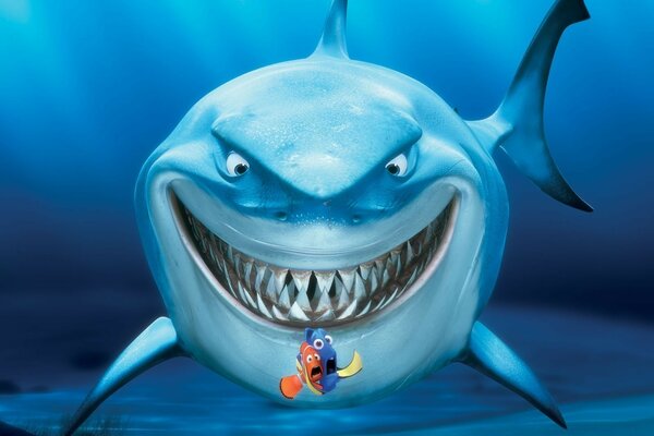 Il grande squalo del cartone animato alla ricerca di Nemo .