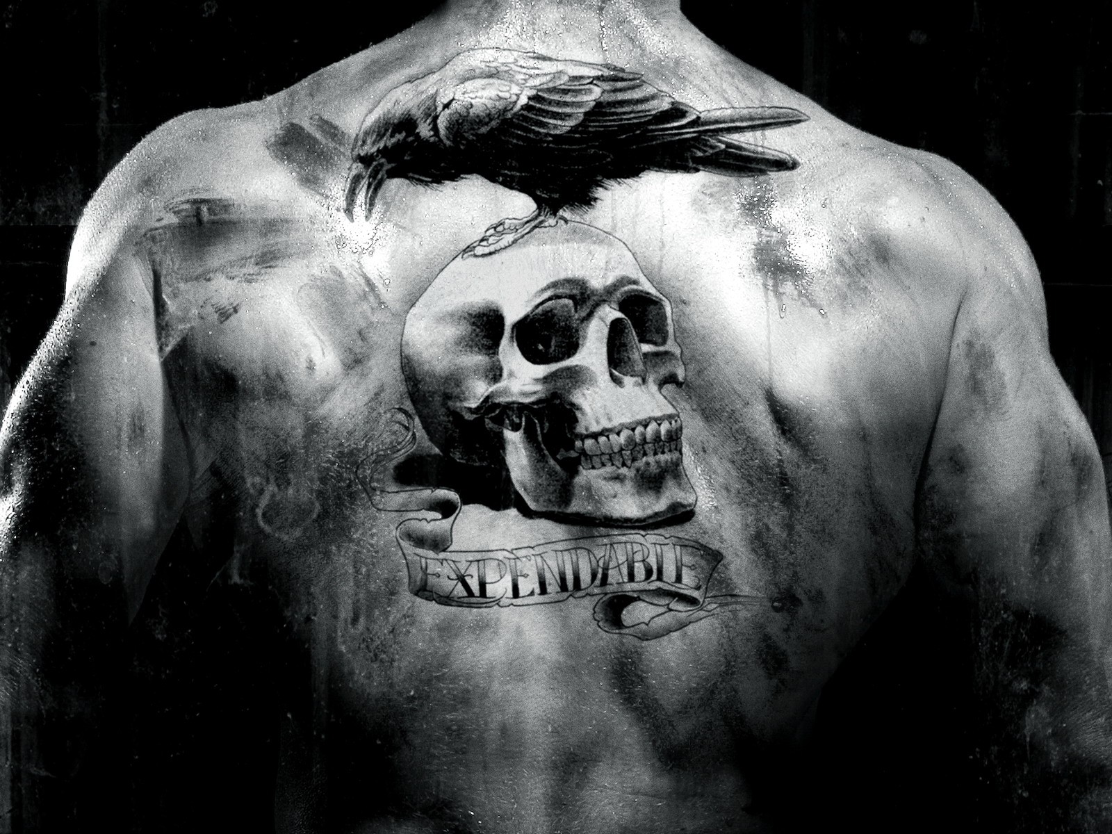 imperturbable expendables film corbeau crâne dos tatouage noir et blanc