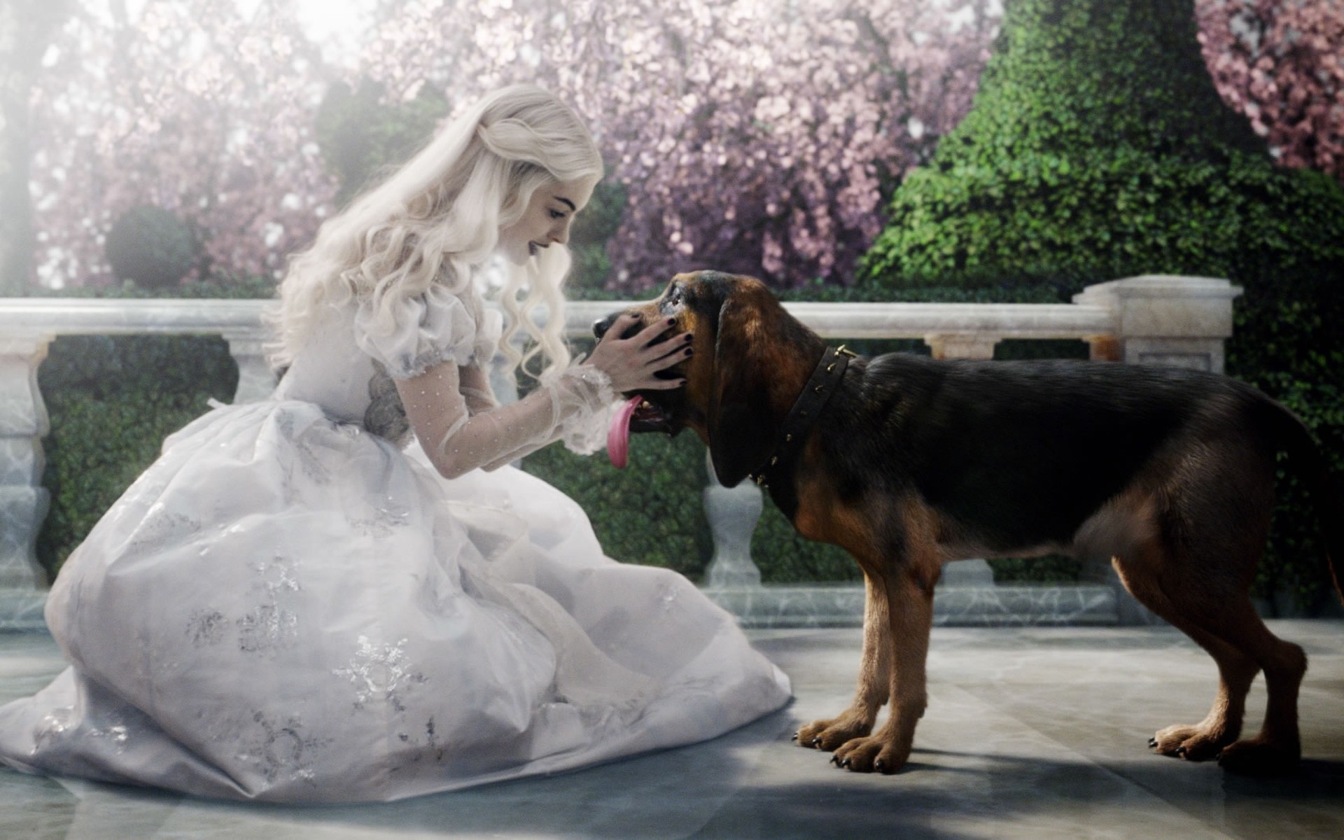 alice im wunderland mia wasikowska hund