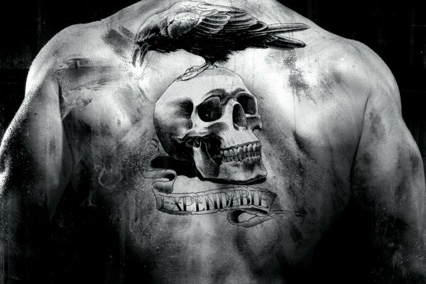 Skull and raven tattoo on the back