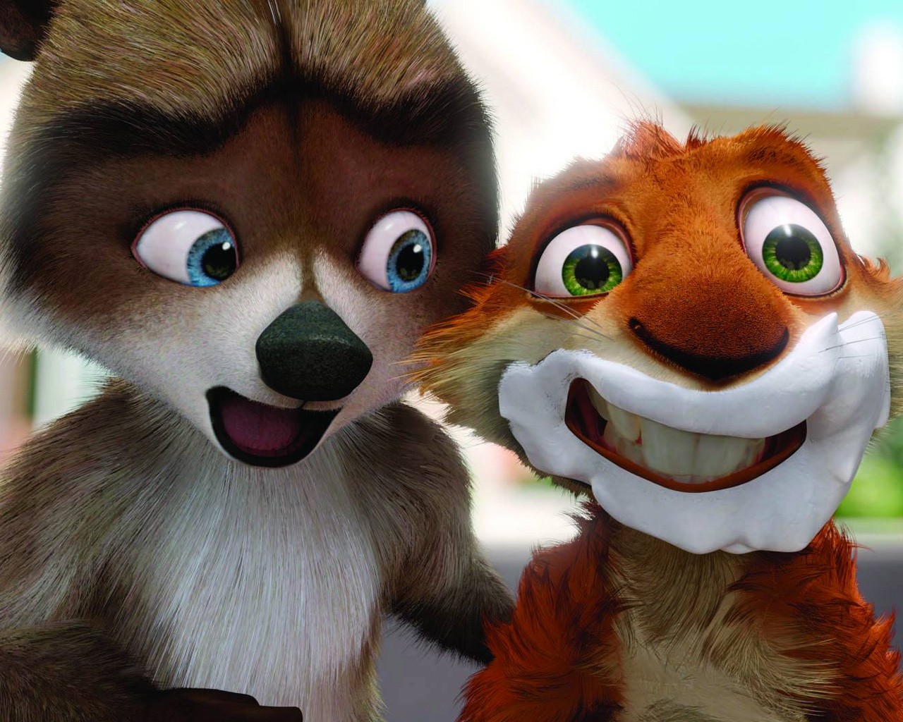 over the hedge cartoon animal