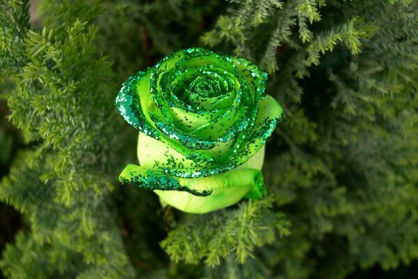 Bocciolo di rosa verde con paillettes