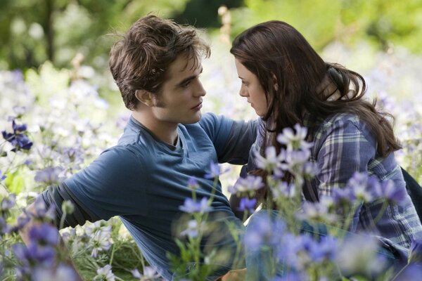 A scene in a clearing with Bella and Edward from the Twilight saga. The Eclipse