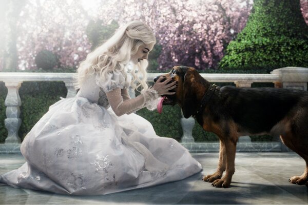 The film Alice in Wonderland with a dog