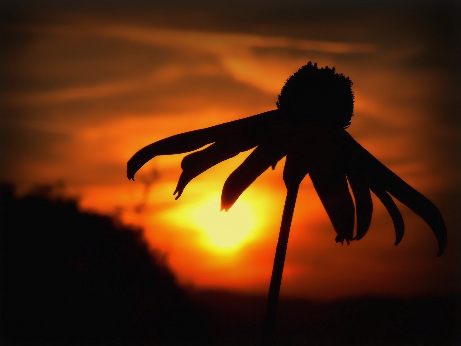 noir coucher de soleil