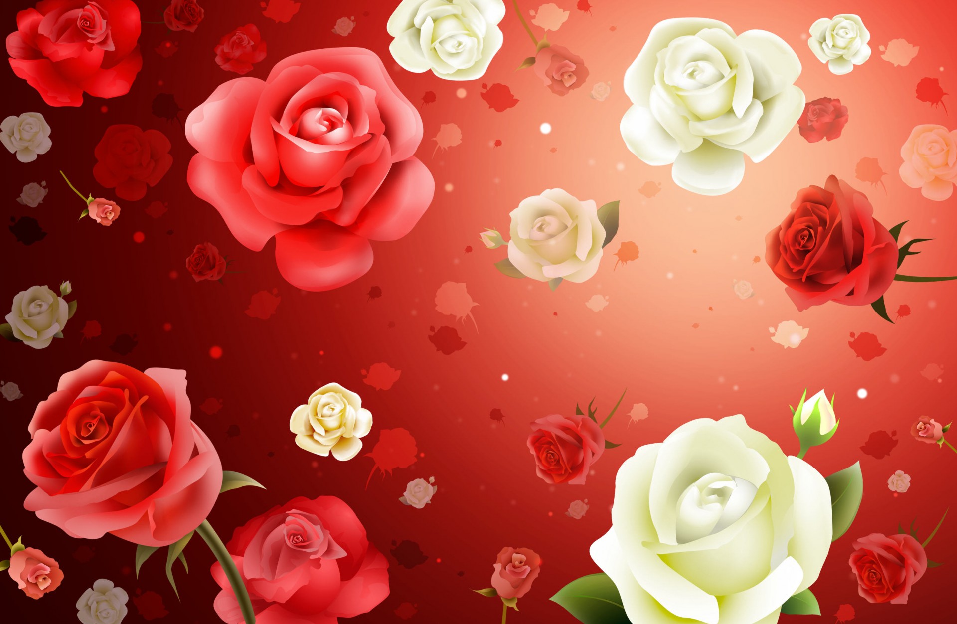 background roses flower