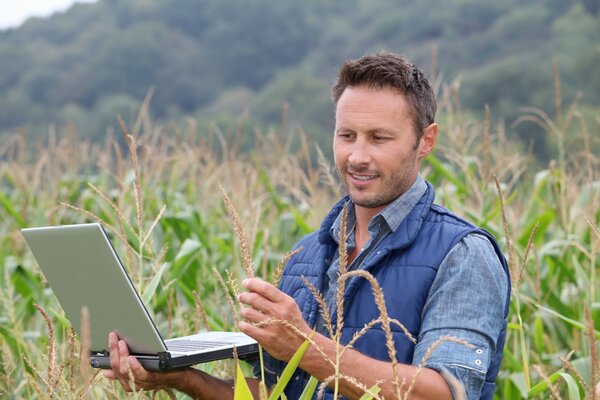 Trabajar en el campo en línea es simple