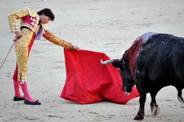 Spanischer Stierkampf. Die Konfrontation zwischen Stier und Toreador