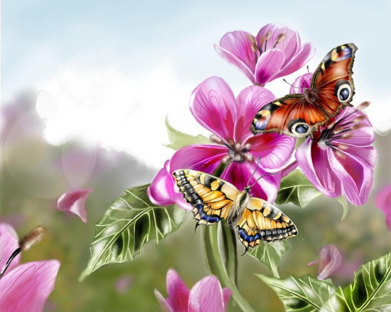 butterfly flower picture