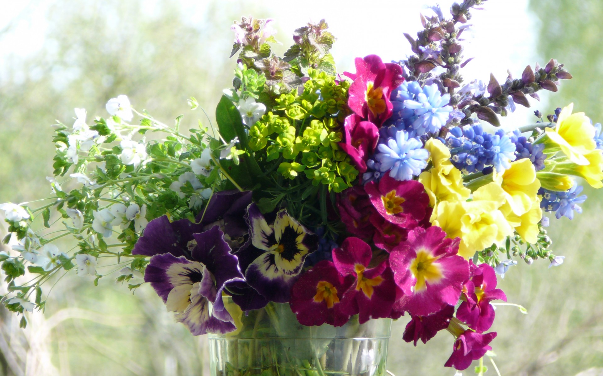 bouquet pensées été