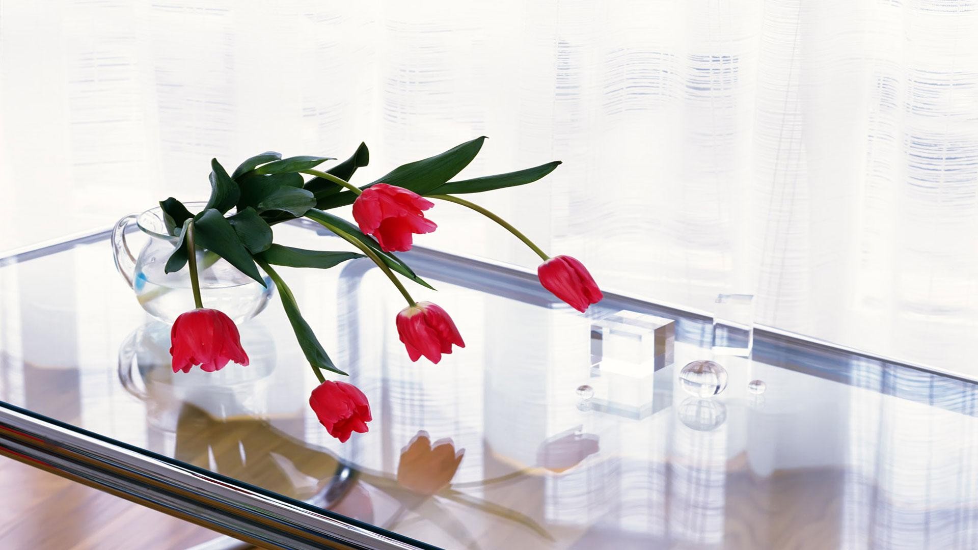 tulips flower table