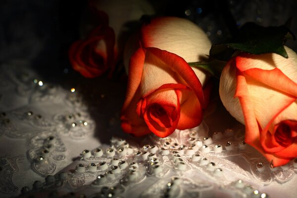 Beautiful roses with rhinestones